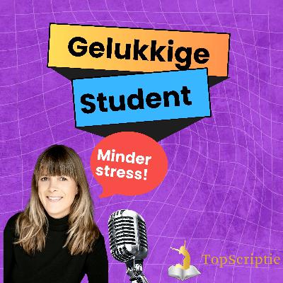 Meditatie voor Studenten – Rust bij Scriptie en Studie Stress