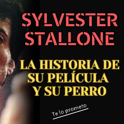 Sylvester Stallone, más que un actor Sylvester Stallone, más que un actor