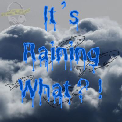 It’s Raining What?! It’s Raining What?!