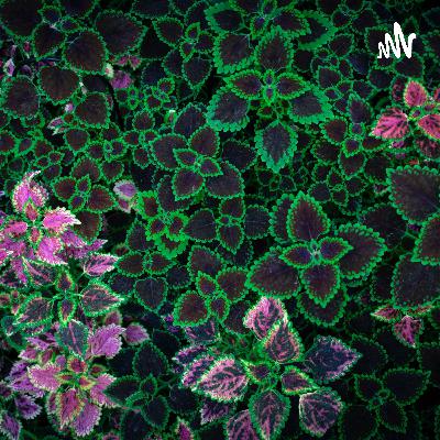 340.武昌理工学院2009级本科生张霁入选华为“天才计划”,年薪201万! 340.武昌理工学院2009级本科生张霁入选华为“天才计划”,年薪201万!