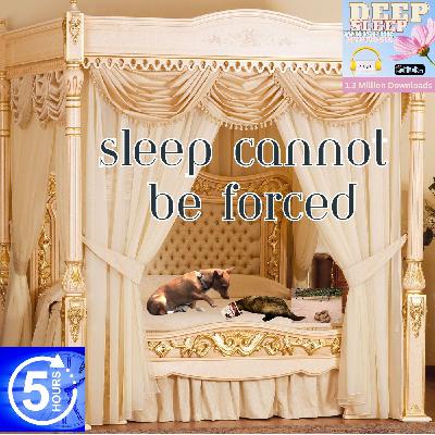 (5 hours) #513 (ASMR) Sleep cannot be forced - Deep Sleep Whisper Hypnosis