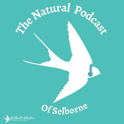 Episode 6: Practising what we Preach