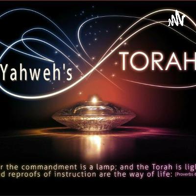 Coming under YHWH'S Torah is a positive! Coming under YHWH'S Torah is a positive!