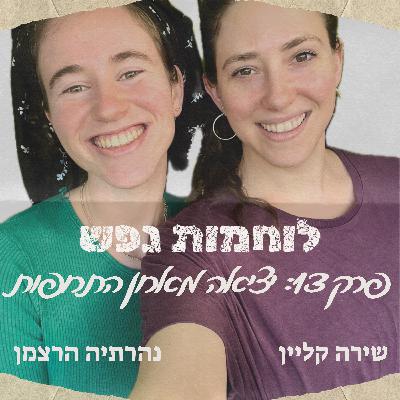 פרק 13: יציאה מארון התרופות