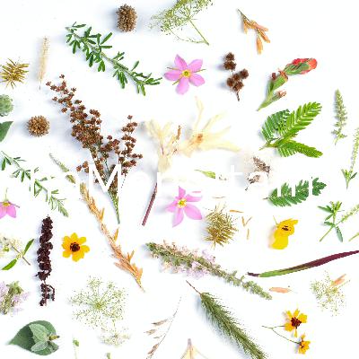 Faça o que te der vontade.