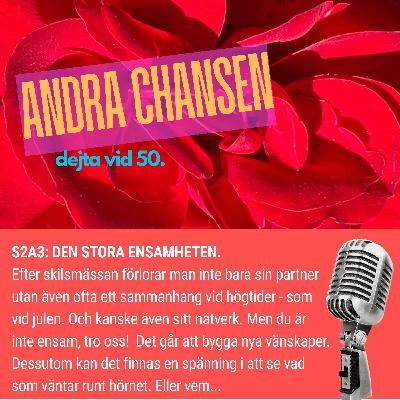 S2A3: DEN STORA ENSAMHETEN. S2A3: DEN STORA ENSAMHETEN.