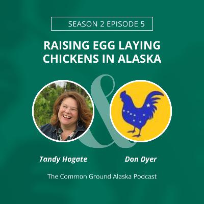RAISING EGG LAYING CHICKENS IN ALASKA