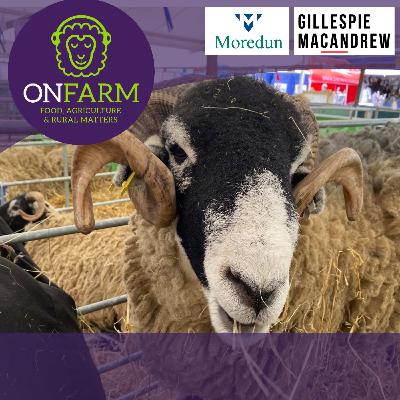 Louping-ill in sheep and grouse: crowdfunding a vaccine