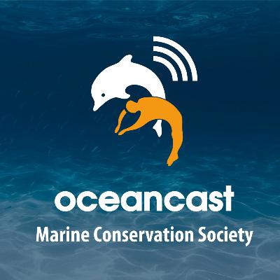 Oceancast - Spring 2021 Oceancast - Spring 2021