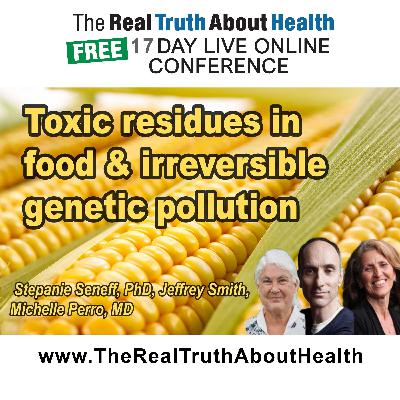 Toxic residues in food and irreversible genetic pollution