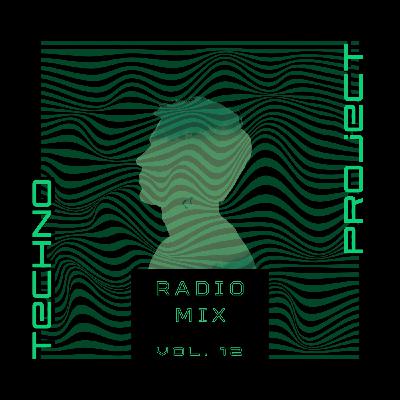 TECHNO PROJECT VOL. 12