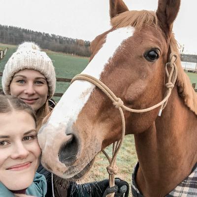 K2 #10 Hevosta etsimässä osa  1:  Hevoskokeiluja Suomessa ja Virossa