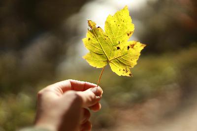 La banca se blinda con la Transición Verde ante el fracaso climático global