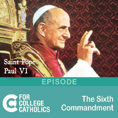 188 Sins Against the Sixth Commandment (II) 188 Sins Against the Sixth Commandment (II)