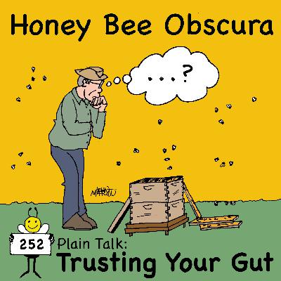 Plain Talk: Trusting Your Gut (252)