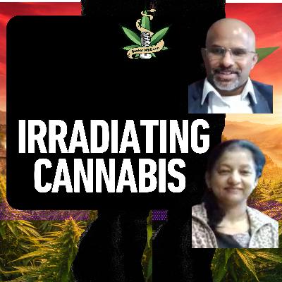 E167-1 Is Irradiated Cannabis Safe? New Research Reveals the Truth with Saji George & Mamta Rani Part 1