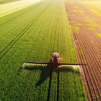 Segundo ano #8 A agricultura brasileira e o acesso à terra.