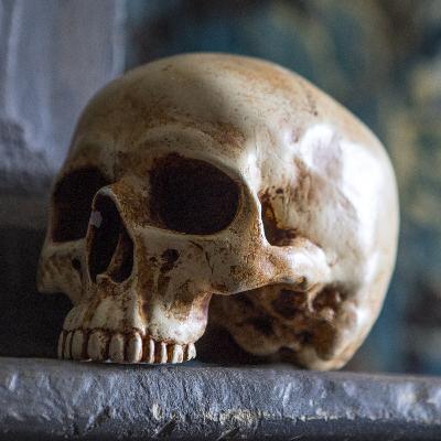 Dear Jordana - ‘Stream Cheating’, Skull on the Mantel, and more! Dear Jordana - ‘Stream Cheating’, Skull on the Mantel, and more!