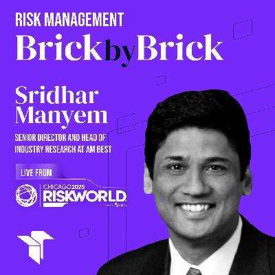 Why D&O Markets Could Cost You More: 4 Hidden Risks You Can't Ignore with Sridhar Manyem
