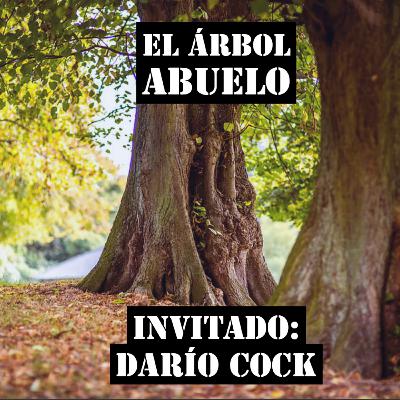 EL ÁRBOL ABUELO EL ÁRBOL ABUELO