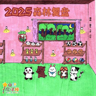 【神奇商店】2025森林复盘