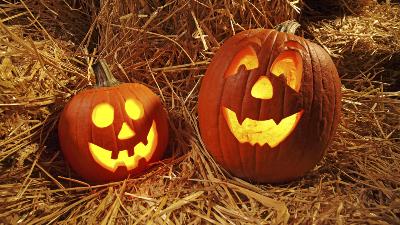 Pumpkin Patches: The farmers and the families getting big into Halloween