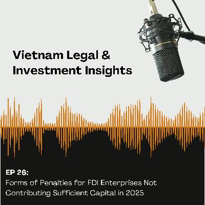 Forms of Penalties for FDI Enterprises Not Contributing Sufficient Capital in 2025