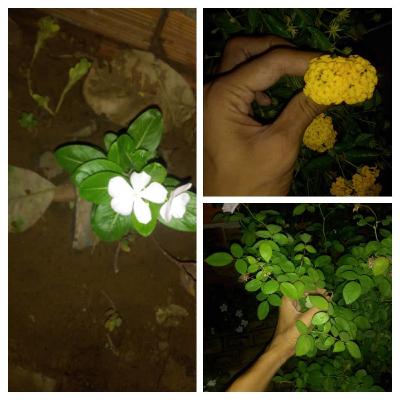 Poeta de luz.Onde eu esto onde eu esto