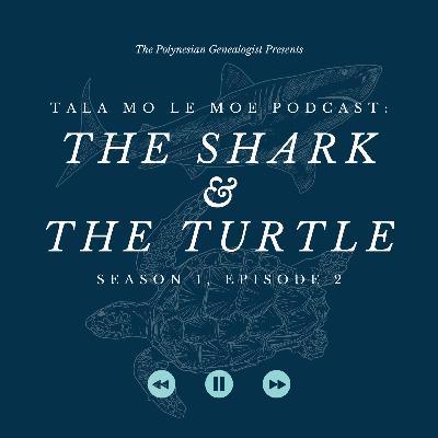 The Shark & The Turtle