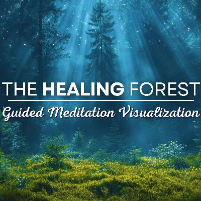 The Healing Forest | Guided Meditation for Mind Body & Spirit Healing