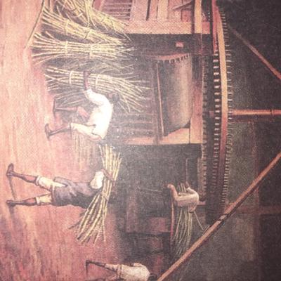 A escravização dos africanos no Brasil - Mariana Campos de Figueiredo Silva