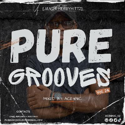 Pure Grooves Vol.24 Mixed By. ACE4NIC [Jan'24 Heavyhittz]