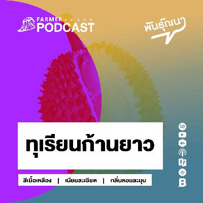 ทุเรียนก้านยาว 【พันธุ์ณนา】 ทุเรียนก้านยาว 【พันธุ์ณนา】