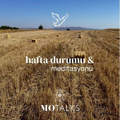 8 - 14 Eylül I Haftanın Durumu & Meditasyonu