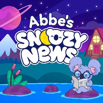 Abbe's Snoozy News 🐨🗞️ Back to School Bedtime Minisode