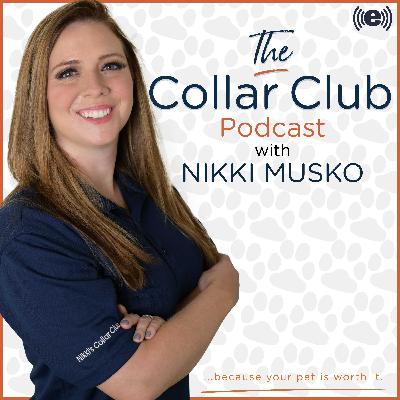 What Is Blepharitis? What Is Blepharitis?