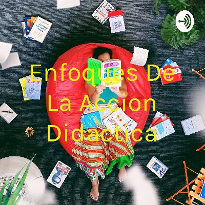 Enfoques de la accion didactica