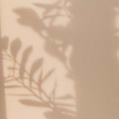 What is Somatics? - Inner Haven Foundations Somatic Education What is Somatics? - Inner Haven Foundations Somatic Education