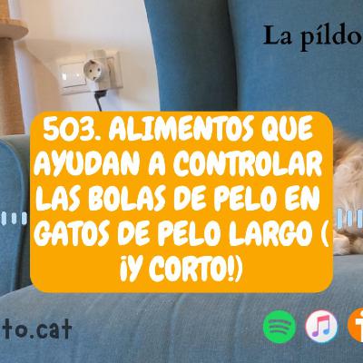 503. Alimentos que ayudan a controlar las bolas de pelo en gatos de pelo largo (¡y corto!)