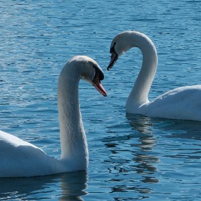 Ep.69 关于知足｜当不再执着于“更多”，生活开始变得柔软