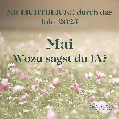 Mit LICHTBLICKE durch das Jahr 2025 | Mai | #20