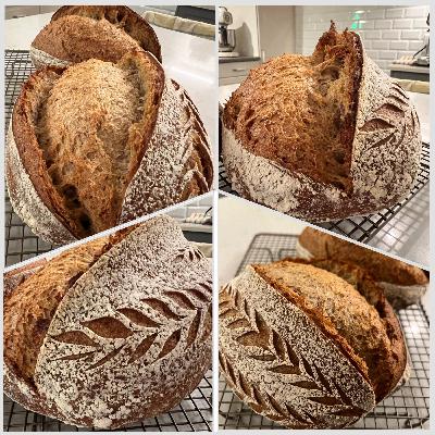 酸種麵包、酸種麵團及酵母特性