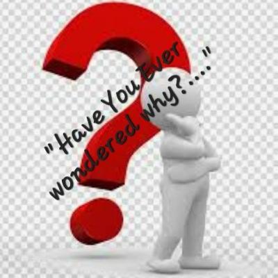 S4/Ep.12 ”Have You Ever Wondered Why?...” S4/Ep.12 ”Have You Ever Wondered Why?...”