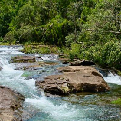 A força do Rio Natureza