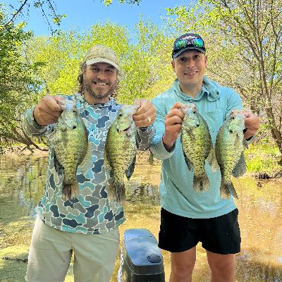 What's the Difference? White vs. Black Crappie, Whitetail vs. Mule Deer, and Spraying Vegetation What's the Difference? White vs. Black Crappie, Whitetail vs. Mule Deer, and Spraying Vegetation