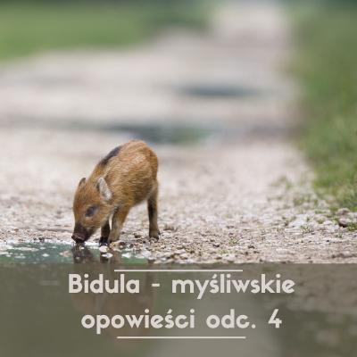 Bidula - myśliwskie opowieści odc. 4