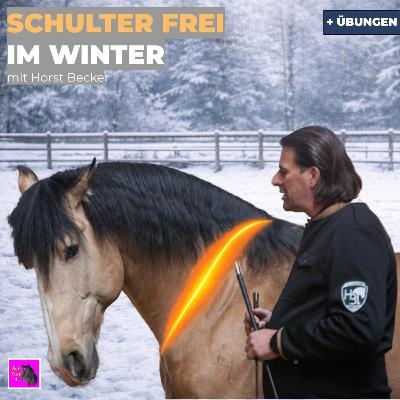 Schulter öffnen: So reitest Du Dein Pferd gesund.