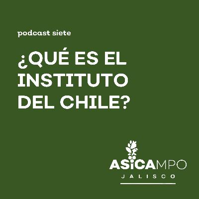 7 | ¿Qué es el Instituto del Chile?