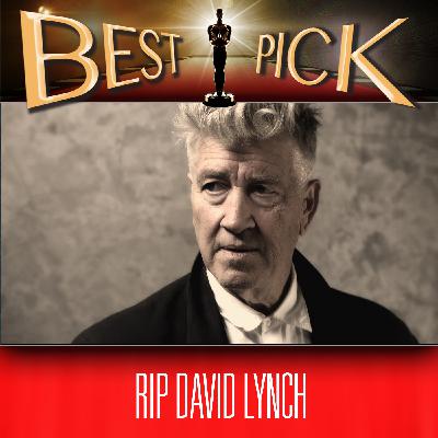 BP231 Redux: Mulholland Drive