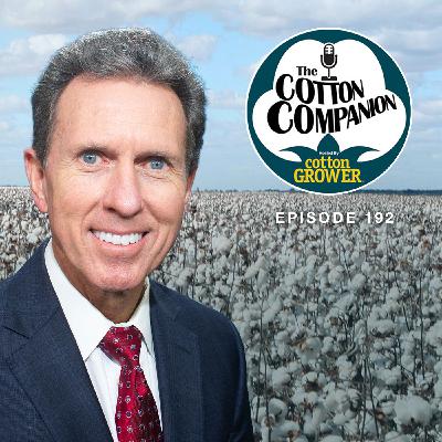 Examining the Big Beautiful Benefits for Cotton